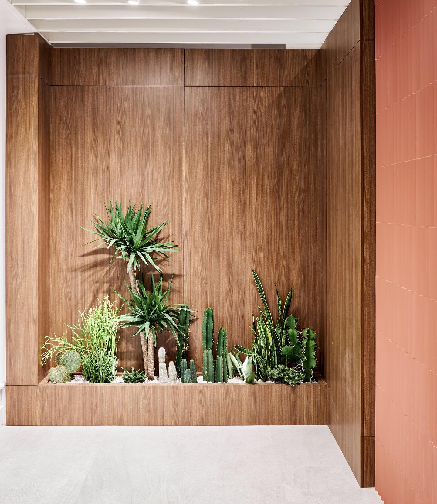 This photo is from one of our recent projects "The Flamingo". Pictured here is the cactus garden located at  the PC entrance. The cactus garden, wood veneer walls,  and 3d wall tile are all elements that will be located throughout  various amenities once the building is complete. The first of 3 towers sold out and is  now in construction. 

#area3design #FlamingoOne #TienSherGroup #whalleydistrict #15mincity #cactusgarden #cactusplants #indoorcactusgarden #lobbyfeaturewall #woodveneerwall #midcenturyinspiration #retroinspired #lobbydesign #interiordesign #interiordesigner #midcenturydesign